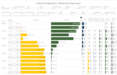 Undergraduate Cohort Progression