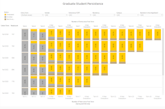 Graduate Persistence