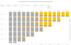 Undergraduate Persistence